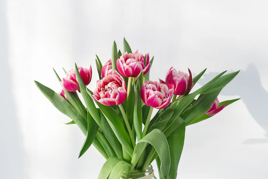 Frischer Blumenstrauß vom Blumenfreund Steyr